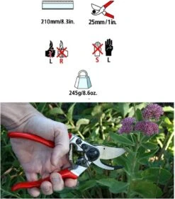 Felco 2 + GRATIS Felco Handschoenen In Cadeauverpakking -Tuingereedschap Winkel 1056x1200 2