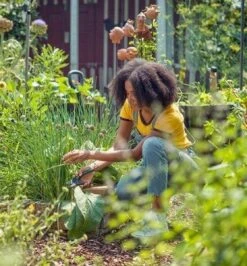 GARDENA - ExpertCut - Snoeischaar - 22 Diameter Tak -Tuingereedschap Winkel 1116x1200