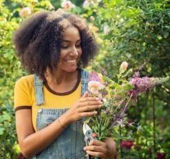 GARDENA - ExpertCut - Snoeischaar - 22 Diameter Tak -Tuingereedschap Winkel 1200x1122