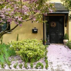 Talen Tools - Voetenveger - Dubbel - Harde Kunststof Borstels -Tuingereedschap Winkel 1200x1200 347