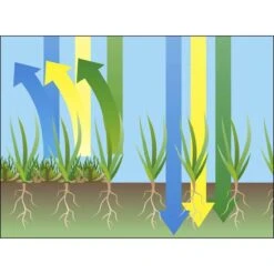 GARDENA EVC 1000 Verticuteermachine - Werkbreedte 30 Cm - Werkgebied 600m2 -Tuingereedschap Winkel 1200x1200 427