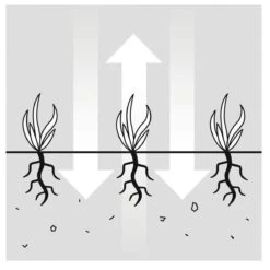 GARDENA EVC 1000 Verticuteermachine - Werkbreedte 30 Cm - Werkgebied 600m2 -Tuingereedschap Winkel 1200x1200 428