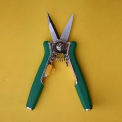 Bloemenschaar- Snoeischaar Recht Green Arrow 6238 -Tuingereedschap Winkel 1200x1200 629