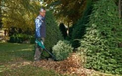 Bosch ALB 36 LI - Bladblazer - Met 36 V Accu En Lader -Tuingereedschap Winkel 1200x747 3