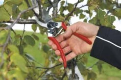 Felco 2 Snoeischaar - Rechtshandig - Max. Knipdiameter 25 Mm - Lengte 215 Mm -Tuingereedschap Winkel 1200x796 1