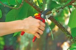 WOLF-Garten Snoeischaar "Premium Plus" RS 4000 - Aambeeld - Max. Knipdiameter 25 Mm - Links- En Rechtshandige - Softinleg Handgreep - Snijhoek 30° - Voor Grote Handen - Vervangbare Messen En Aambeeld -Tuingereedschap Winkel 1200x798 10