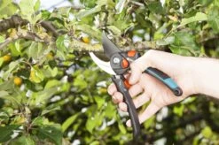 GARDENA - Comfort B/S-XL Bypass - Snoeischaar - Ø 24 Mm - 25 Jaar Garantie -Tuingereedschap Winkel 1200x799 101