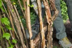 GARDENA - SlimCut Takkenschaar -28mm- Met Hefboommechanisme -Tuingereedschap Winkel 1200x799 107