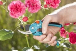 GARDENA - Classic B/S-M Bypass Snoeischaar - Ø 22mm - 25 Jaar Garantie -Tuingereedschap Winkel 1200x799 116