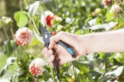 GARDENA Comfort B/M Bypass Snoeischaar - Ø 24mm - Met Sapgeul -Tuingereedschap Winkel 1200x799 128