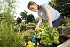 GARDENA Combisystem Tuinhak - Werkbreedte 6,5cm - 25 Jaar Garantie -Tuingereedschap Winkel 1200x799 26