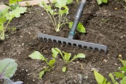 Gardena NatureLine Hark | 36 Cm | FSC 100% - 17106-20 -Tuingereedschap Winkel 1200x800 11