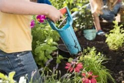 GARDENA Bollenplanter - Diepteaanduiding - Automatische Aardeloslating -Tuingereedschap Winkel 1200x800 12