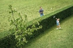 Bosch AHS 50-20 Accu Heggenschaar - Met 1 X 18 V Accu En Lader -Tuingereedschap Winkel 1200x800 125