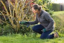 Bosch KEO 18 Accu Tuinzaagmachine - Snijdiameter Van 80 Mm - Met 18 V Accu En Lader -Tuingereedschap Winkel 1200x800 145