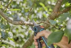 GARDENA AssistCut Snoeischaar- Ø 25mm -Tuingereedschap Winkel 1200x800 149