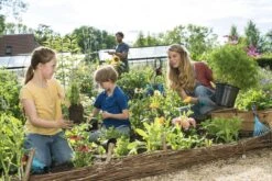 GARDENA Combisystem Bladharkje - Werkbreedte 12 Cm - 25 Jaar Garantie 18 GARDENA Combisystem Bladharkje - Werkbreedte 12 Cm - 25 Jaar Garantie -Tuingereedschap Winkel 1200x800 15