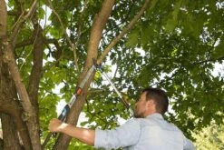 Gardena TeleCut Takkenschaar 650-900 B - Uitschuifbare Armen - Tot Max 90 Cm -Tuingereedschap Winkel 1200x800 165