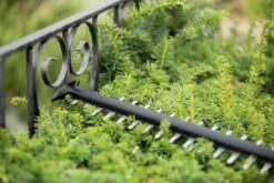 Bosch UniversalHedgeCut 18-55 Heggenschaar - Zonder 18V Accu En Oplader -Tuingereedschap Winkel 1200x800 170