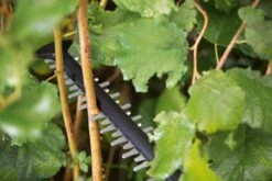 Bosch UniversalHedgeCut 18-55 Heggenschaar - Zonder 18V Accu En Oplader -Tuingereedschap Winkel 1200x800 173