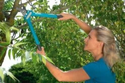 GARDENA Comfort 500 BL Takkenschaar - Max Knipdiameter 35 Mm 15 GARDENA Comfort 500 BL Takkenschaar - Max Knipdiameter 35 Mm -Tuingereedschap Winkel 1200x800 183