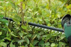 Bosch UniversalHedgeCut 18-50 Heggenschaar - Met 18 V Accu En Lader -Tuingereedschap Winkel 1200x800 189