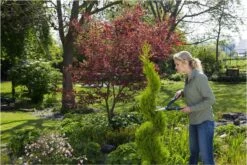 GARDENA PrecisionCut Buxusschaar - Meslengte 18 Cm - Vormsnoeien -Tuingereedschap Winkel 1200x800 199