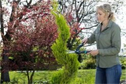 GARDENA PrecisionCut Buxusschaar - Meslengte 18 Cm - Vormsnoeien -Tuingereedschap Winkel 1200x800 200