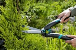 GARDENA PrecisionCut Buxusschaar - Meslengte 18 Cm - Vormsnoeien -Tuingereedschap Winkel 1200x800 201