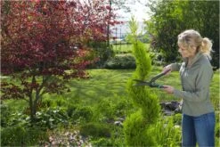 GARDENA PrecisionCut Buxusschaar - Meslengte 18 Cm - Vormsnoeien -Tuingereedschap Winkel 1200x800 203