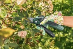 Bosch EasyPrune Accu Snoeischaar - 3.6 V Accu - USB -Tuingereedschap Winkel 1200x800 212