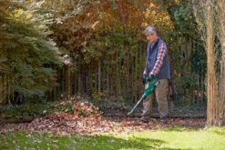 Bosch ALB 36 LI - Bladblazer - Met 36 V Accu En Lader -Tuingereedschap Winkel 1200x800 295