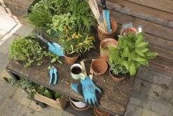 GARDENA - City Gardening - Onkruidsteker -Tuingereedschap Winkel 1200x800 311