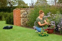 Bosch Indego S+ 500 Robotmaaier - Voor Gazons Tot 500 M2 - Incl. Laadstation En Accessoires - Connected -Tuingereedschap Winkel 1200x800 80