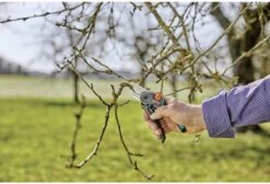 GARDENA - ExpertCut - Snoeischaar - 22 Diameter Tak -Tuingereedschap Winkel 1200x815 6