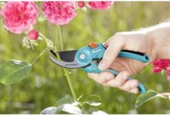 GARDENA - Classic B/S-M Bypass Snoeischaar - Ø 22mm - 25 Jaar Garantie -Tuingereedschap Winkel 1200x820 4