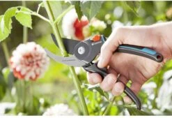 GARDENA Comfort B/M Bypass Snoeischaar - Ø 24mm - Met Sapgeul -Tuingereedschap Winkel 1200x822 2