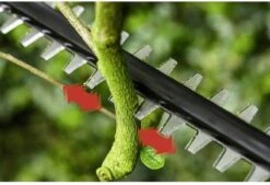 Bosch UniversalHedgePole 18 Heggenschaar Op Steel - Met 18 V Accu En Lader -Tuingereedschap Winkel 1200x823 4