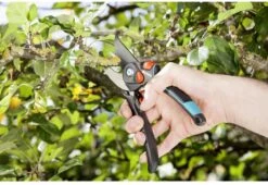 GARDENA - Comfort B/S-XL Bypass - Snoeischaar - Ø 24 Mm - 25 Jaar Garantie -Tuingereedschap Winkel 1200x825 13