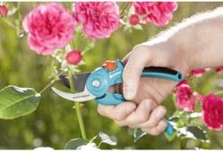 GARDENA - Classic B/S-M Bypass Snoeischaar - Ø 22mm - 25 Jaar Garantie -Tuingereedschap Winkel 1200x825 21
