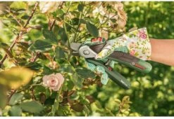 Bosch EasyPrune Accu Snoeischaar - 3.6 V Accu - USB -Tuingereedschap Winkel 1200x825 26