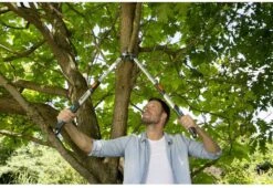 Gardena TeleCut Takkenschaar 650-900 B - Uitschuifbare Armen - Tot Max 90 Cm -Tuingereedschap Winkel 1200x826 3