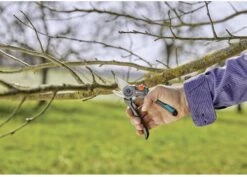 GARDENA - ExpertCut - Snoeischaar - 22 Diameter Tak -Tuingereedschap Winkel 1200x859 4