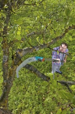 GARDENA Combisysteem Snoeizaag 300PP Curved Takkenzaag - Meslengte 315 Mm - Exclusief Verlengstok -Tuingereedschap Winkel 799x1200 1