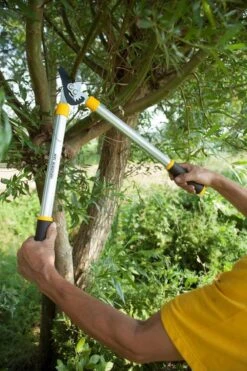 Hendrik Jan - Takkenschaar - Aluminium - Aambeeld - 62 Cm -Tuingereedschap Winkel 799x1200 25