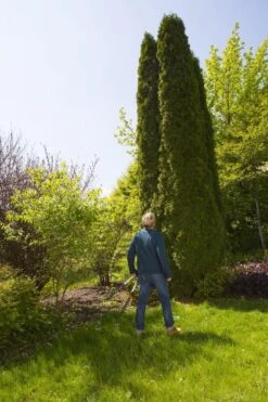 GARDENA TeleCut Heggenschaar - Telescopische Handgrepen Van 70-90 Cm -Tuingereedschap Winkel 799x1200 44