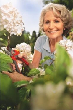 WOLF-Garten Snoeischaar "Premium Plus" RR 4000 - Max. Knipdiameter 22 Mm - Links- En Rechtshandige - Softinleg Handgreep - Snijhoek 30° - Voor Grote Handen - Vervangbare Messen -Tuingereedschap Winkel 800x1200 32