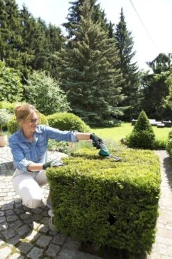 Bosch ISIO Gen III Accu Buxusschaar + Grasschaar -Tuingereedschap Winkel 800x1200 33