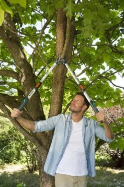 Gardena TeleCut Takkenschaar 650-900 B - Uitschuifbare Armen - Tot Max 90 Cm -Tuingereedschap Winkel 800x1200 36