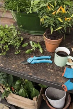 GARDENA - Classic B/S-M Bypass Snoeischaar - Ø 22mm - 25 Jaar Garantie -Tuingereedschap Winkel 800x1200 37